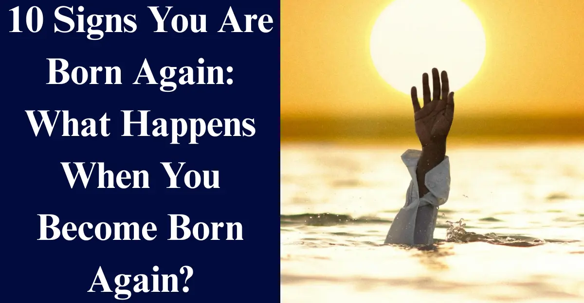 10 Signs You Are Born Again: What Happens When You Become Born Again?