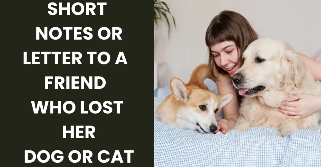 Short Notes/Letter To A Friend Who Lost Her Dog/ Cat