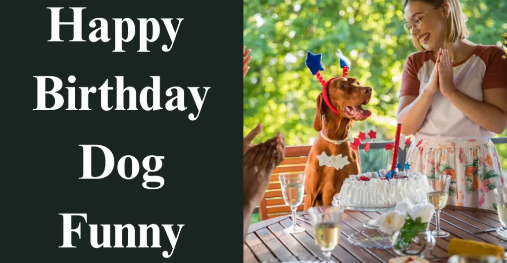 Happy Birthday Dog Funny
