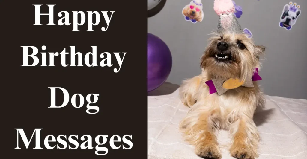 Happy Birthday Dog Messages