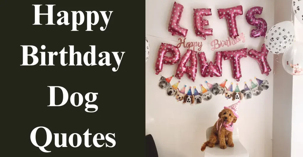 Happy Birthday Dog Quotes