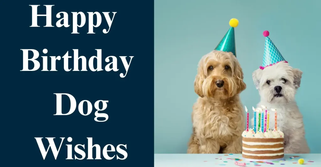 Happy Birthday Dog Wishes