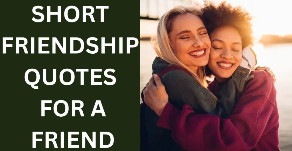 Short Friendship Quotes For A Friend