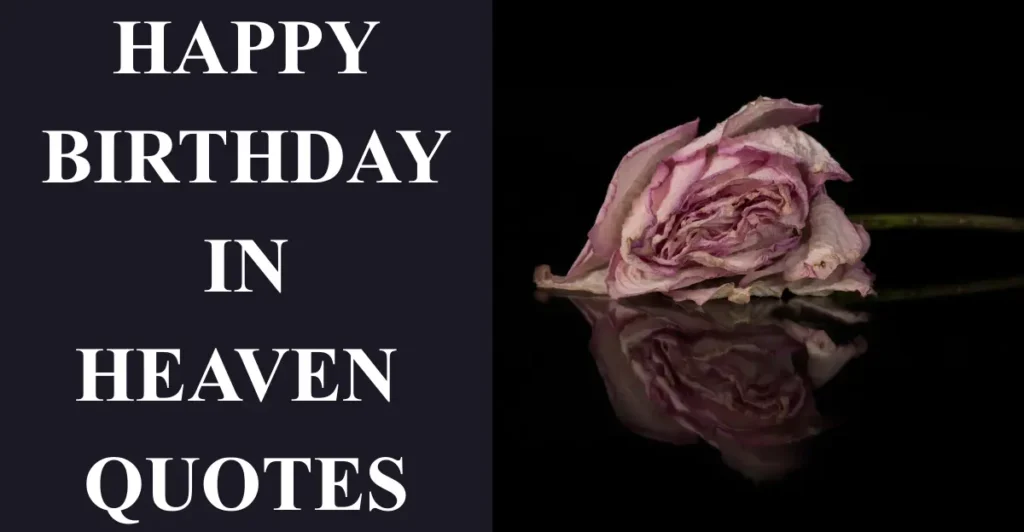 Happy Birthday in Heaven Quotes