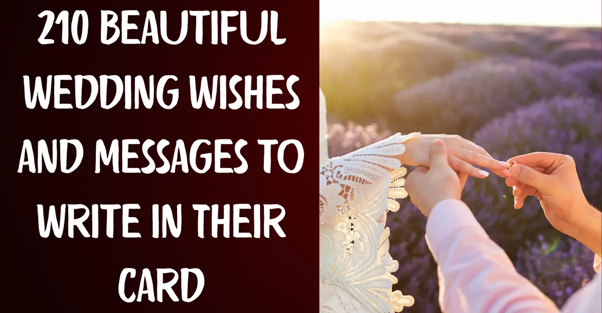 210 Beautiful Wedding Wishes and Messages to Write in Their Card
