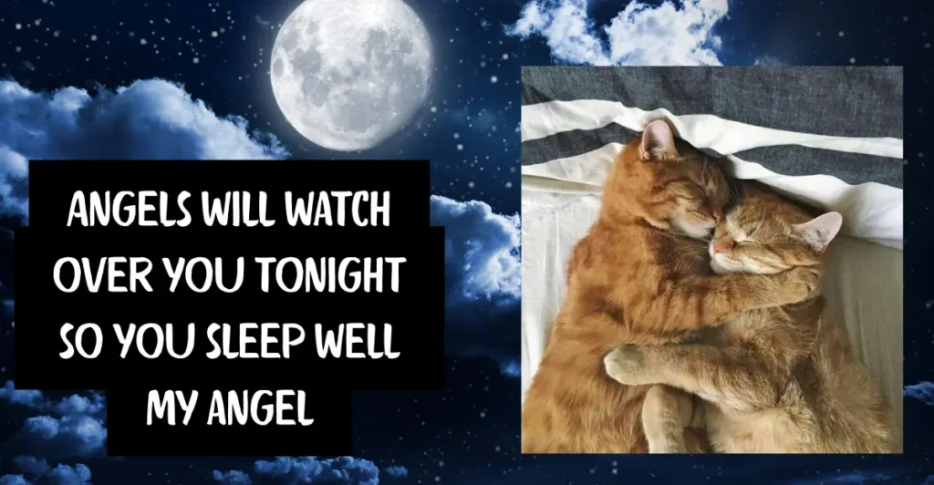 Romantic Good Night Texts